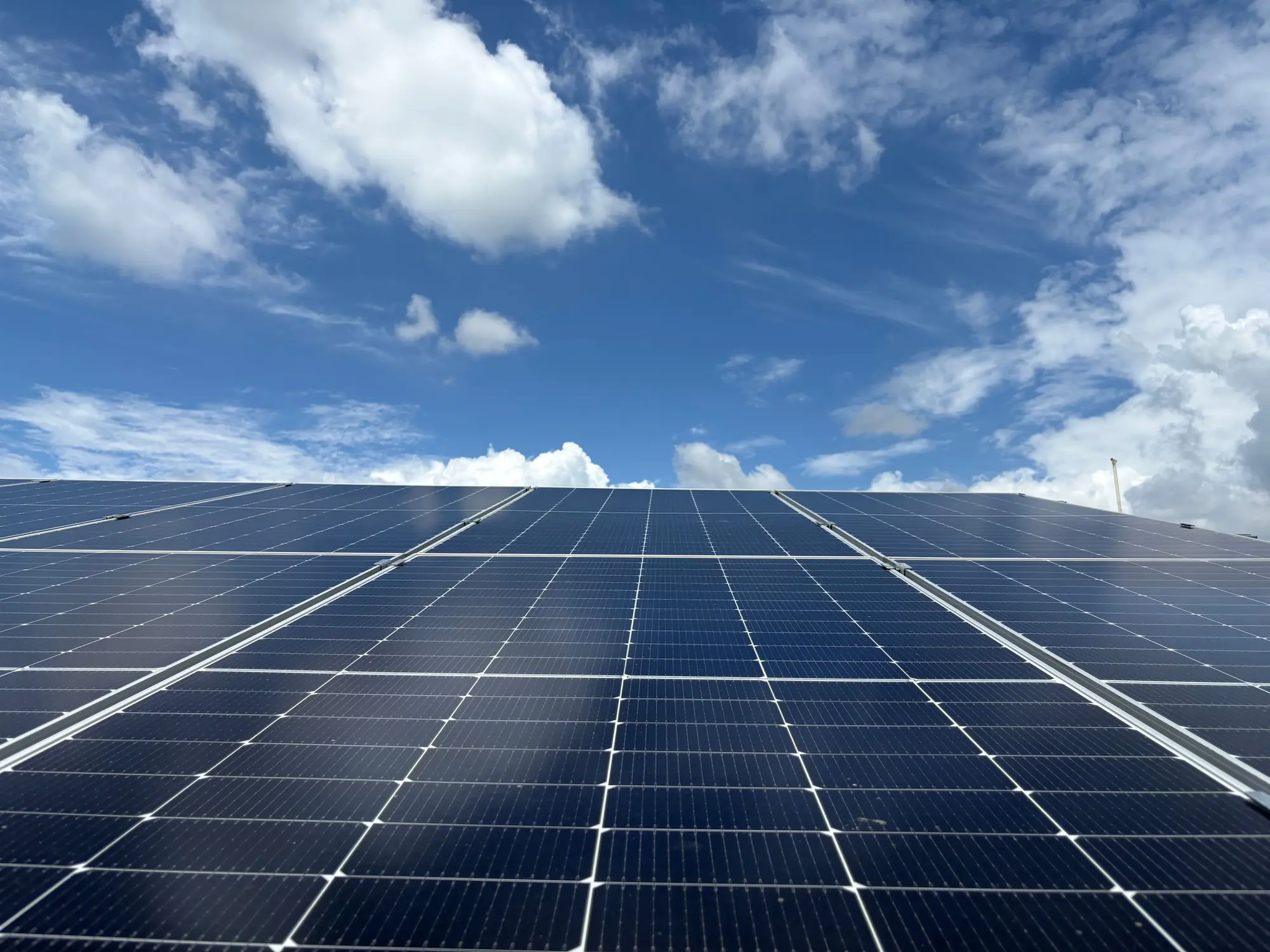 Rows of rooftop solar panels under a clear blue sky
